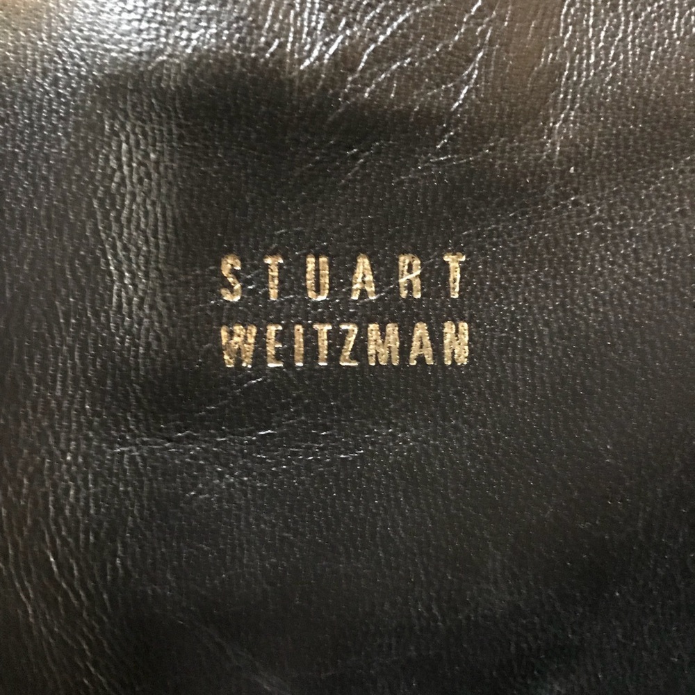 Stuart Weizmann Leather/Python Boots - image 2